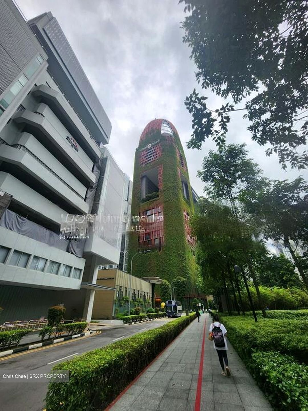 Mapletree Anson (D2), Office #456334321